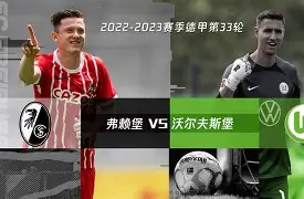 沃尔夫斯堡主场惊险取胜进军德甲前六的简单介绍 沃尔夫斯堡主场惊险取胜进军德甲前六的简单介绍